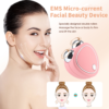 EMS Micro-current Beauty Instrument Face Lifting Slimming Device Eliminate Edema Reduce Wrinkle Dual Roller Vibration Massager