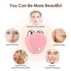 EMS Micro-current Beauty Instrument Face Lifting Slimming Device Eliminate Edema Reduce Wrinkle Dual Roller Vibration Massager